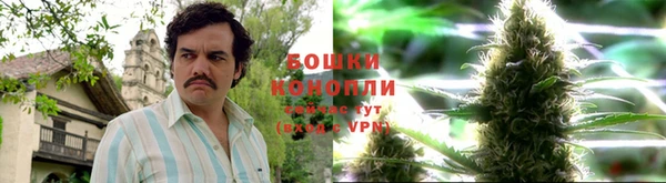 МДМА Белокуриха