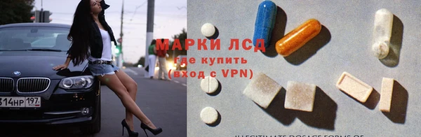 спиды Новозыбков